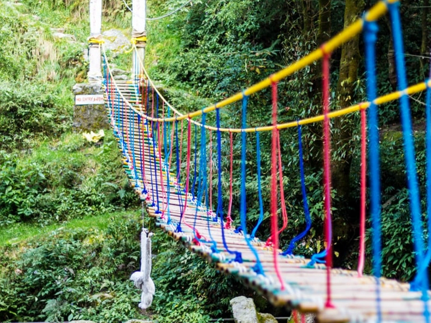 Dalhousie-1
